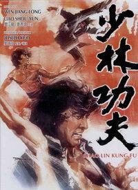 功夫在线高清在线观看,高清盛宴，一招一式尽展中华武术魅力  第2张