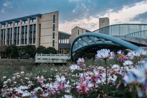 福州大学女子爆料视频,校园生活背后真相揭露  第1张